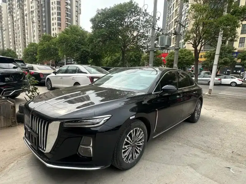 Hongqi H5, 2025