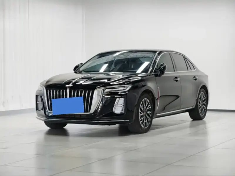 Hongqi H5, 2024
