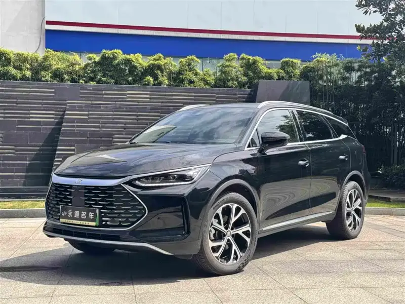 BYD Tang New Energy, 2025