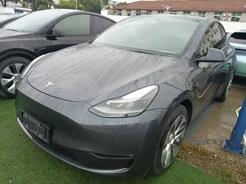 Tesla Model Y, 2021