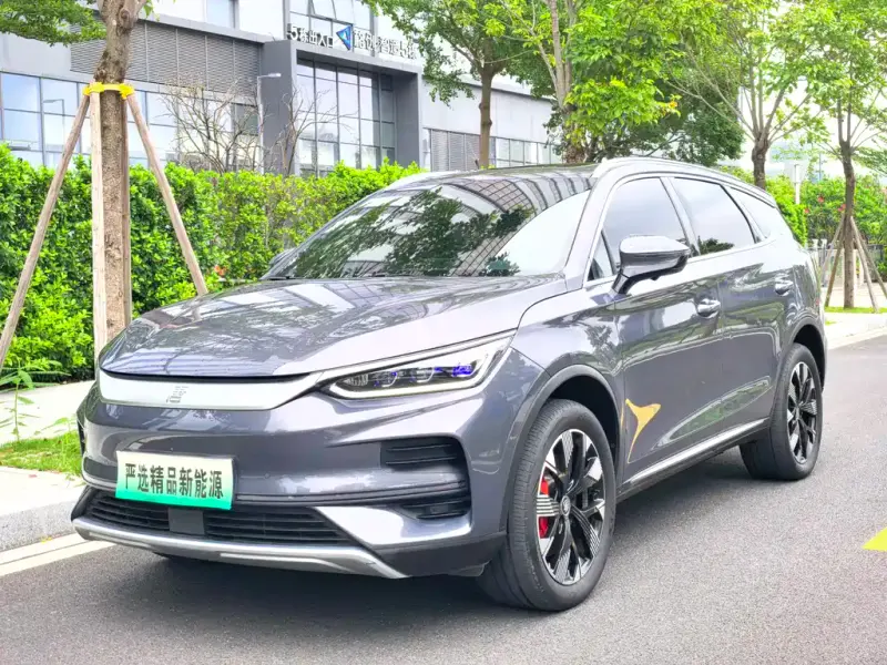 BYD Tang New Energy, 2024