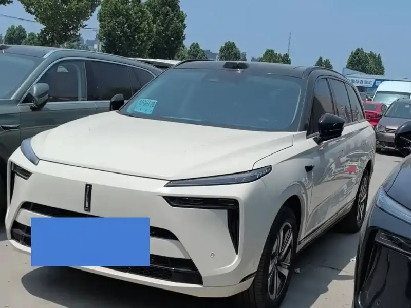 Wey Lanshan, 2025