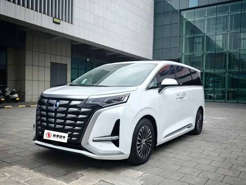 Denza D9, 2024