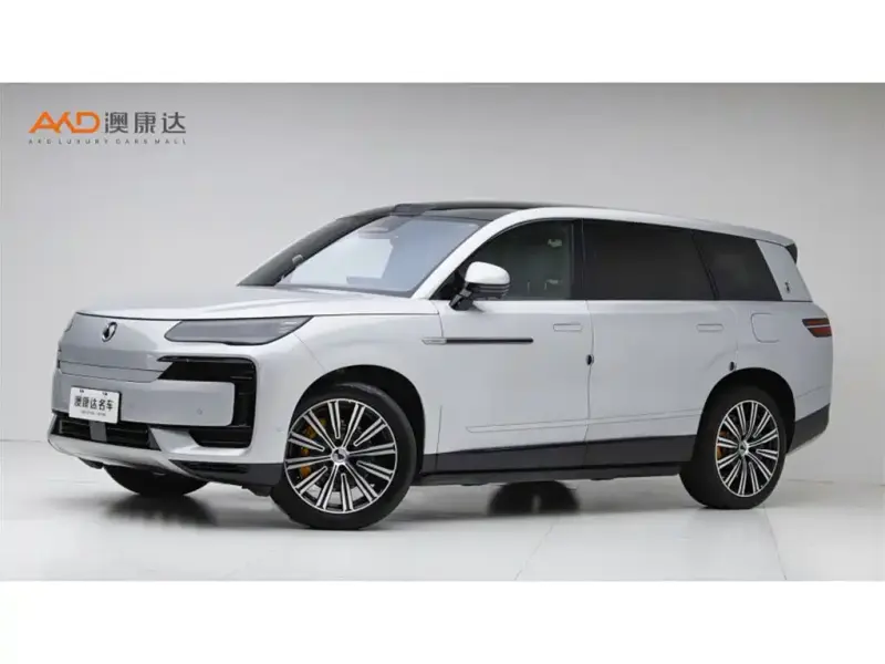 Denza N9, 2025