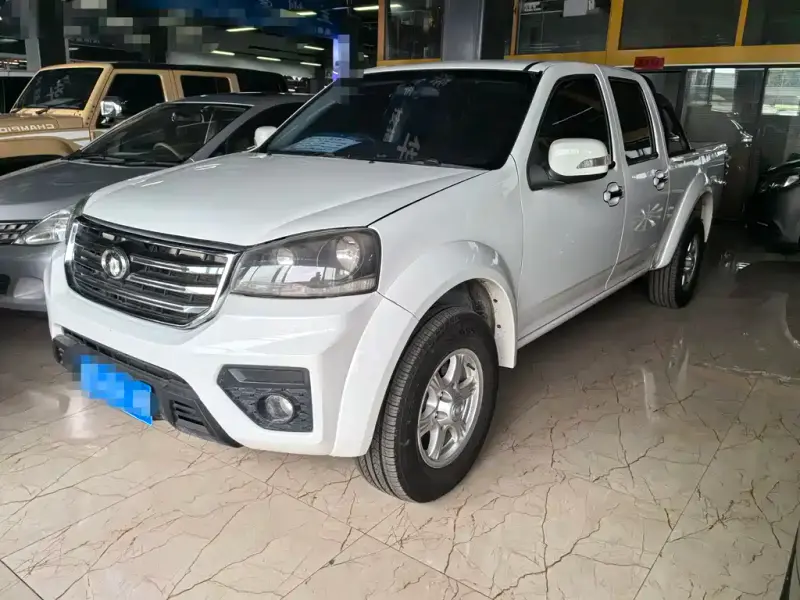Great Wall Fengjun 5, 2019