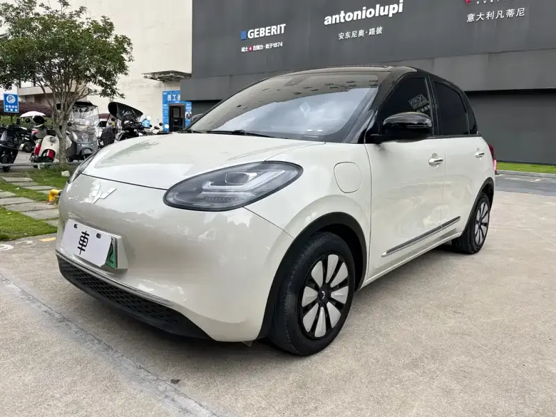 Wuling Bingo, 2023
