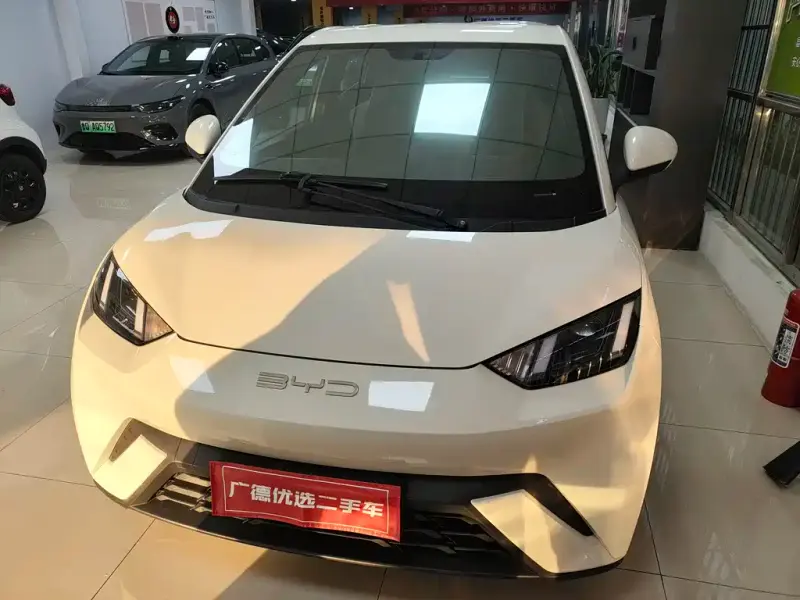 BYD Seagull, 2023