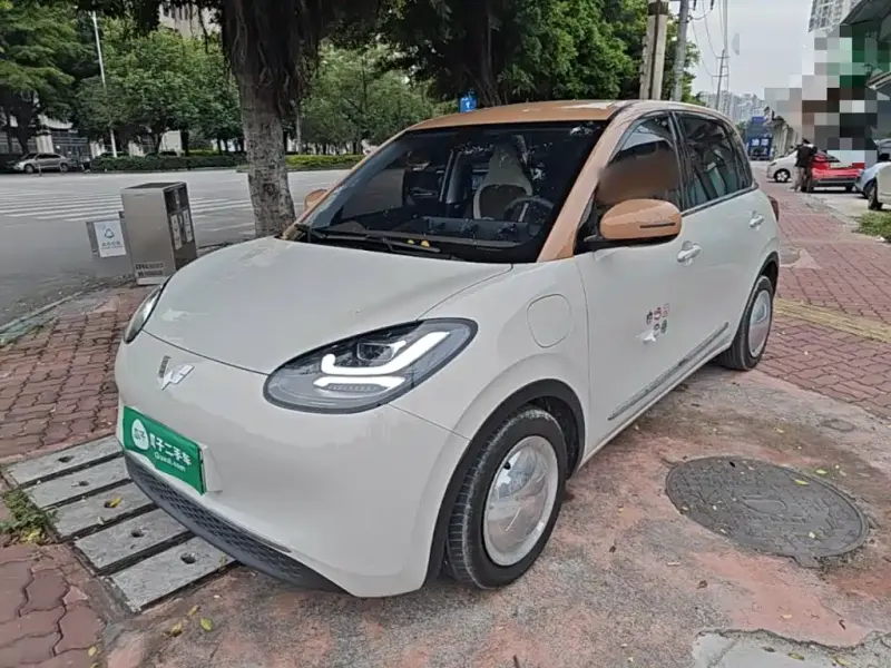 Wuling Bingo, 2023