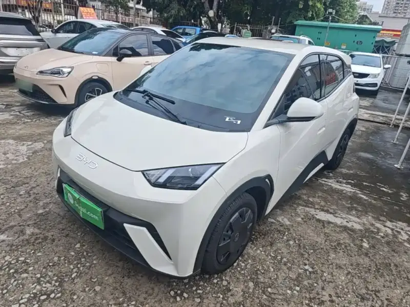 BYD Seagull, 2024