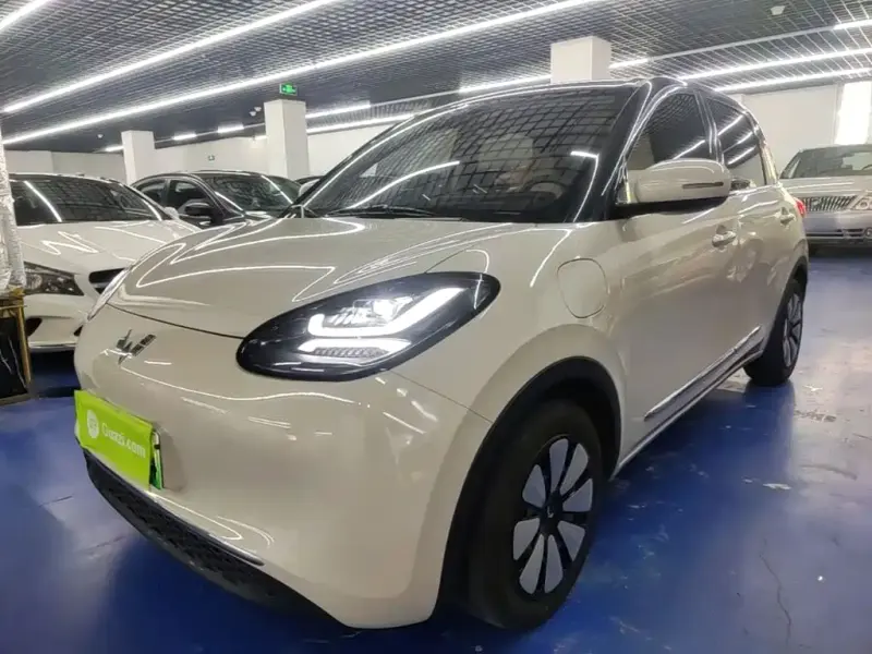 Wuling Bingo, 2025