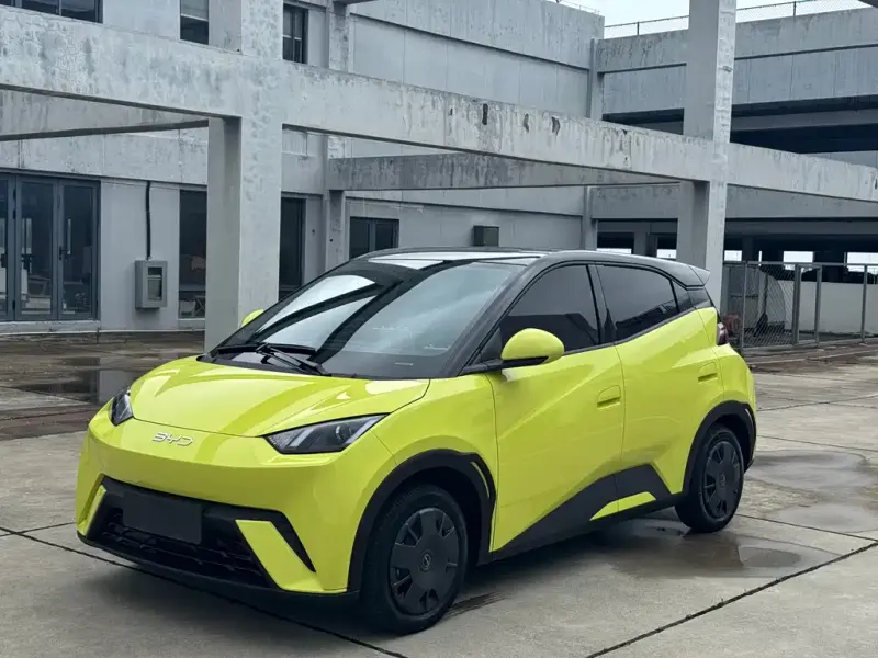 BYD Seagull, 2024