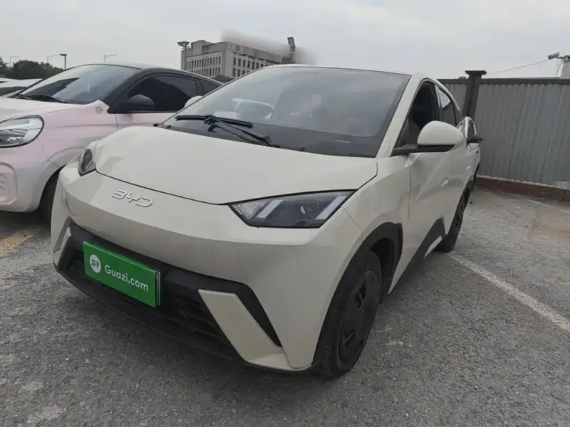 BYD Seagull, 2025