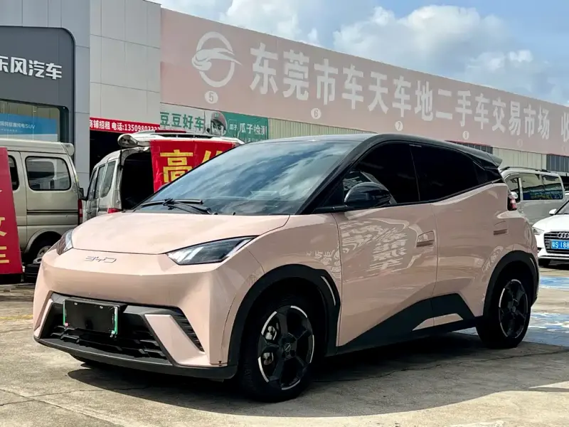 BYD Seagull, 2025