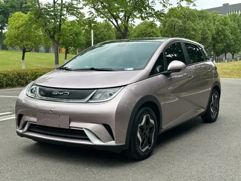 BYD Dolphin, 2022