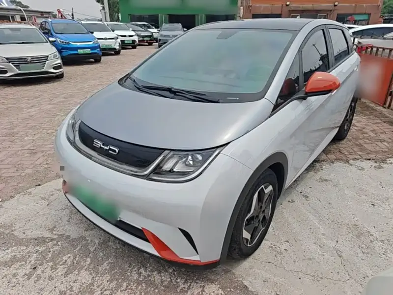 BYD Dolphin, 2022