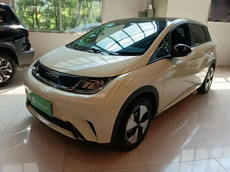 BYD Dolphin, 2023