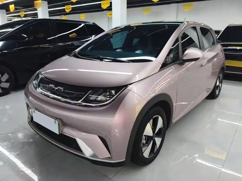 BYD Dolphin, 2024