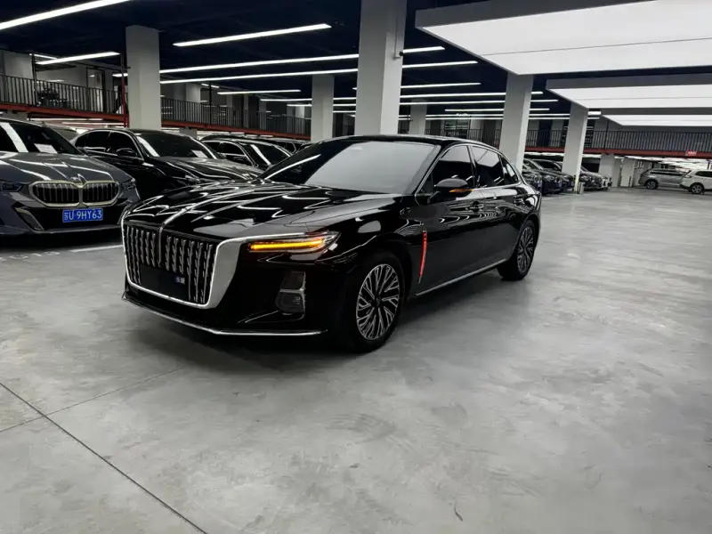 Hongqi H5, 2025