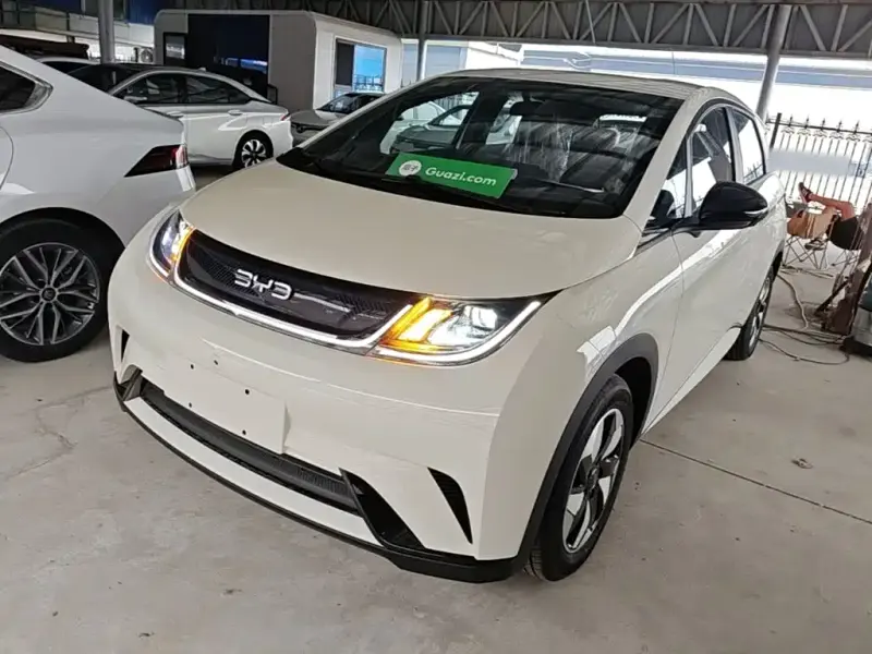 BYD Dolphin, 2026