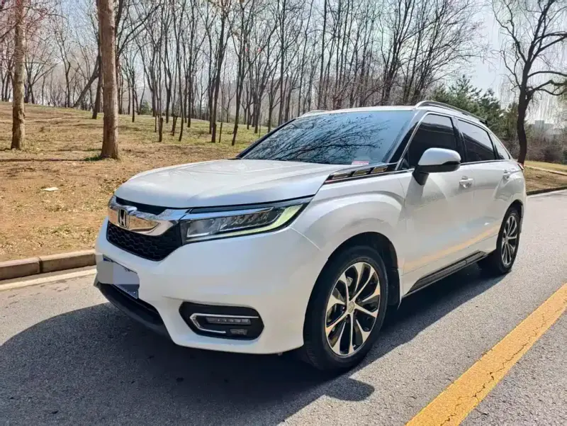Honda Avancier, 2019