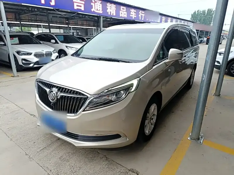 Buick GL8, 2019