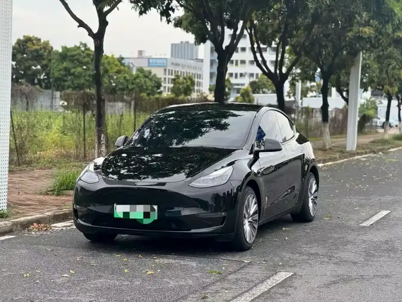 Tesla Model Y, 2021