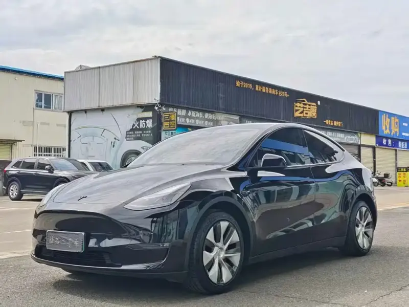 Tesla Model Y, 2021
