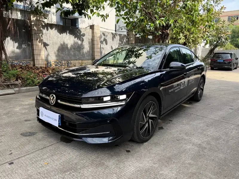 Volkswagen Magotan, 2024