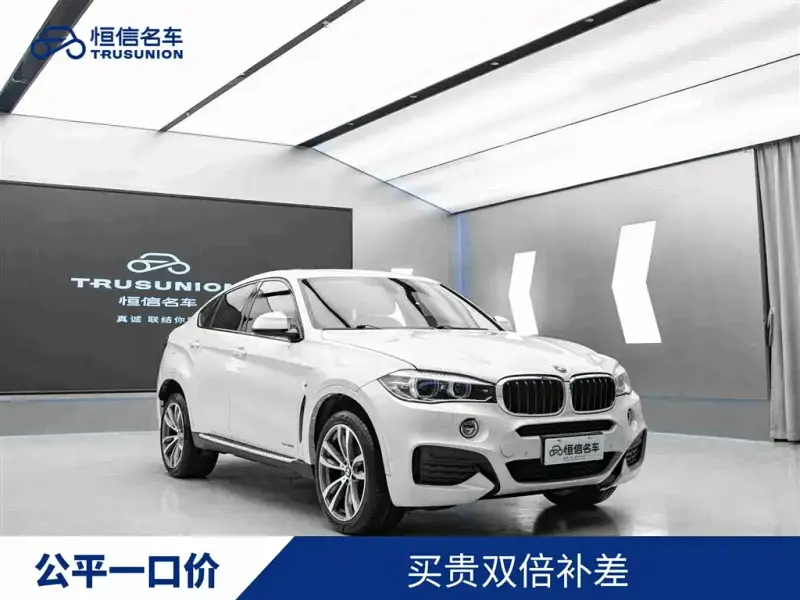 BMW X6, 2019