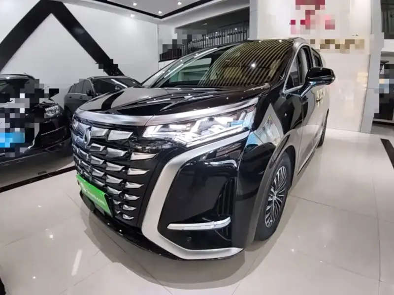 Denza D9, 2024