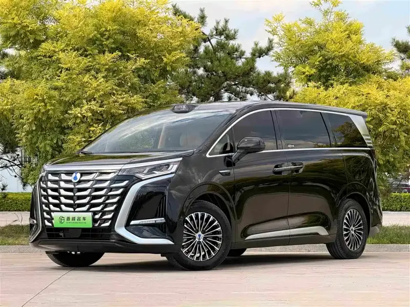Denza D9, 2025