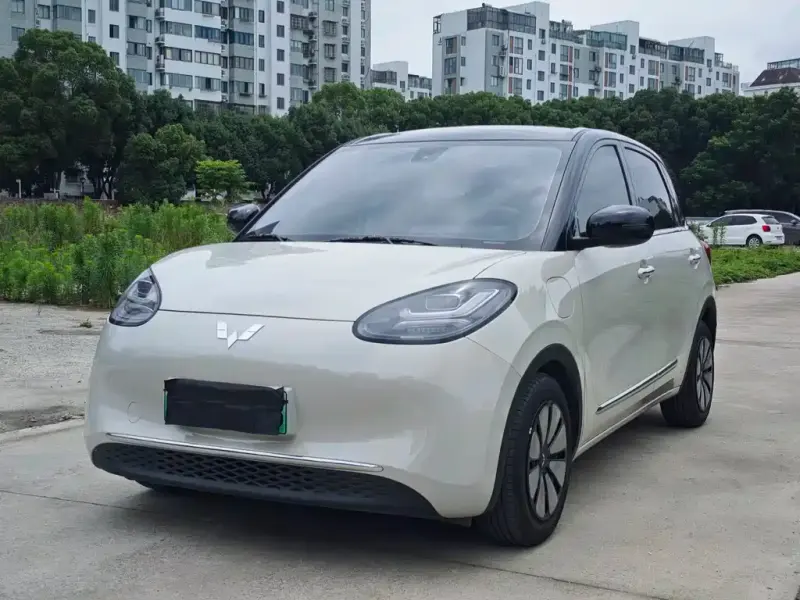 Wuling Bingo, 2024
