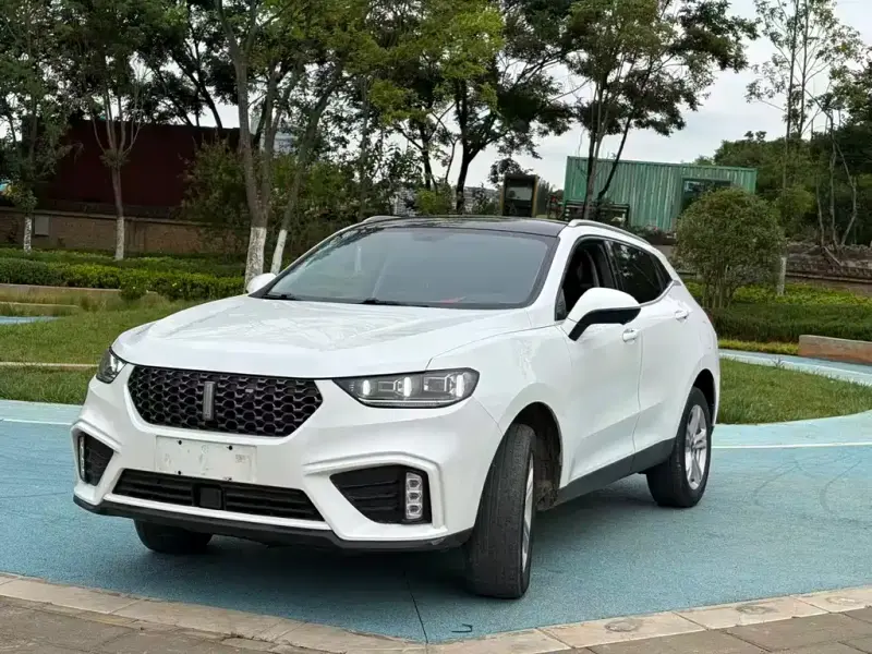 Wey VV5, 2019
