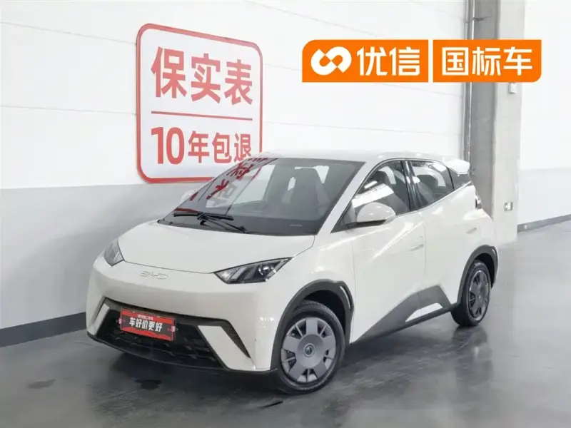BYD Seagull, 2024