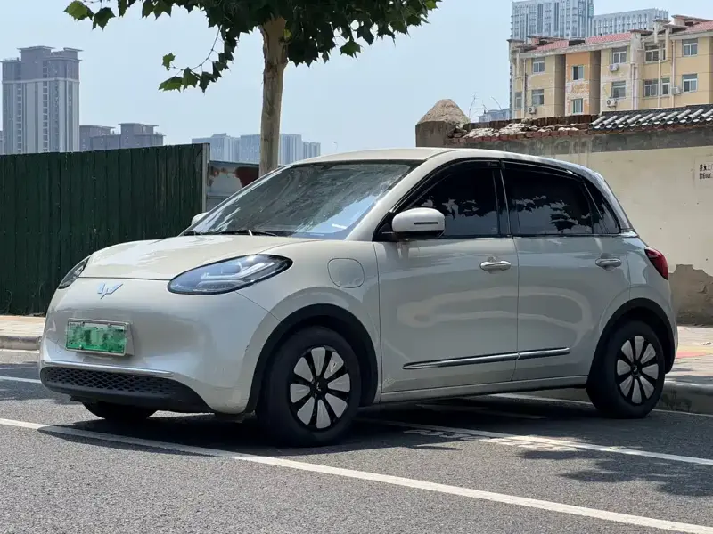 Wuling Bingo, 2025