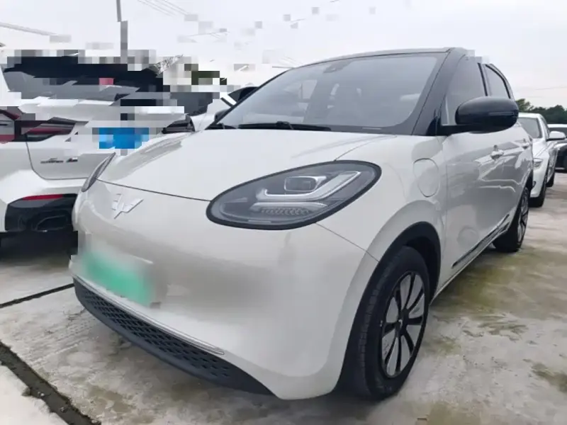 Wuling Bingo, 2023