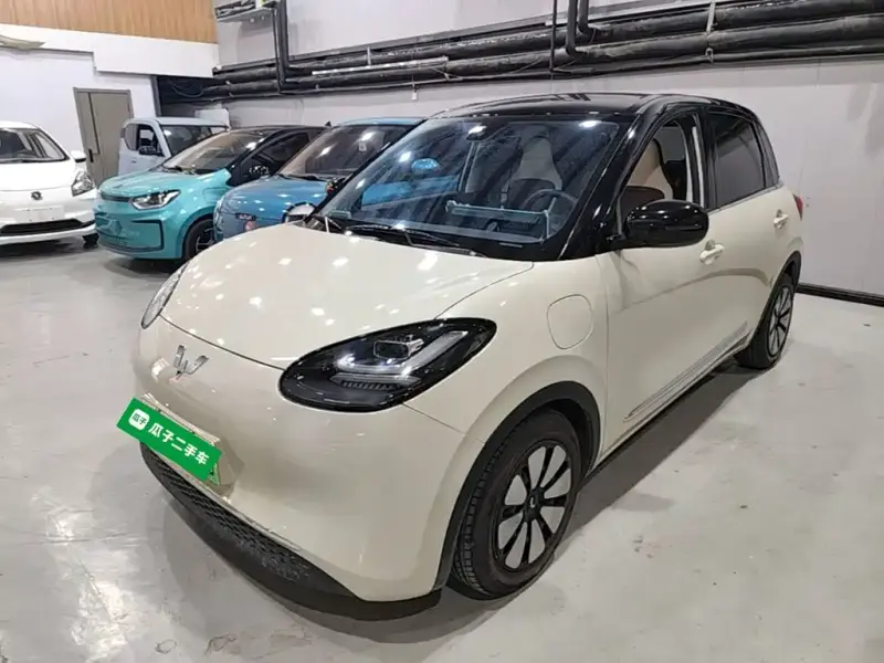 Wuling Bingo, 2024