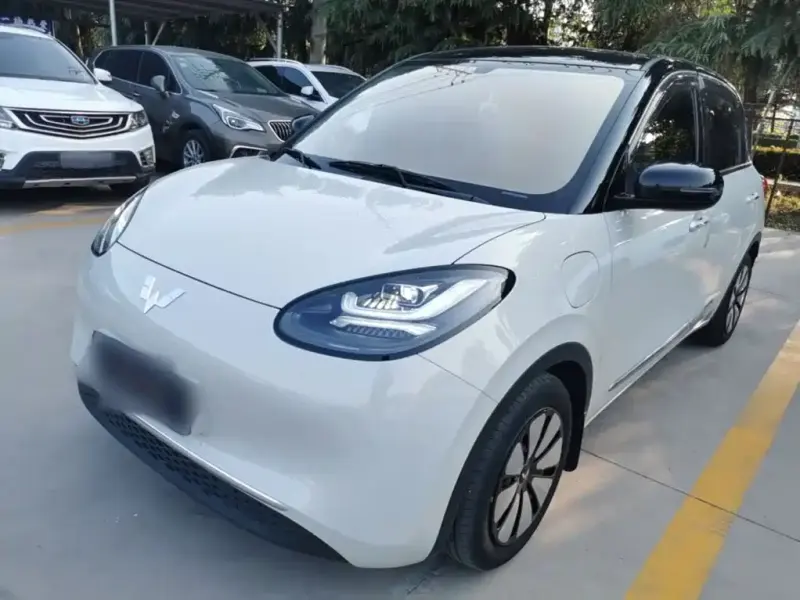 Wuling Bingo, 2024