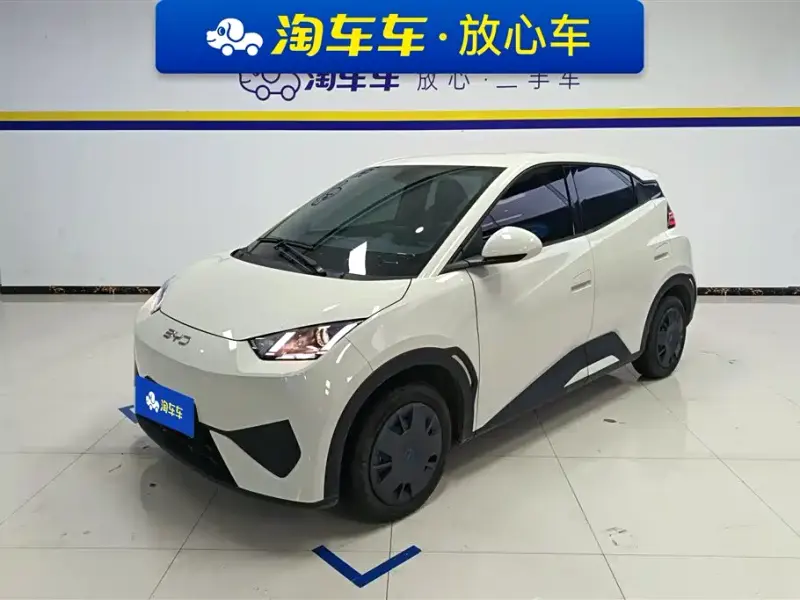 BYD Seagull, 2025