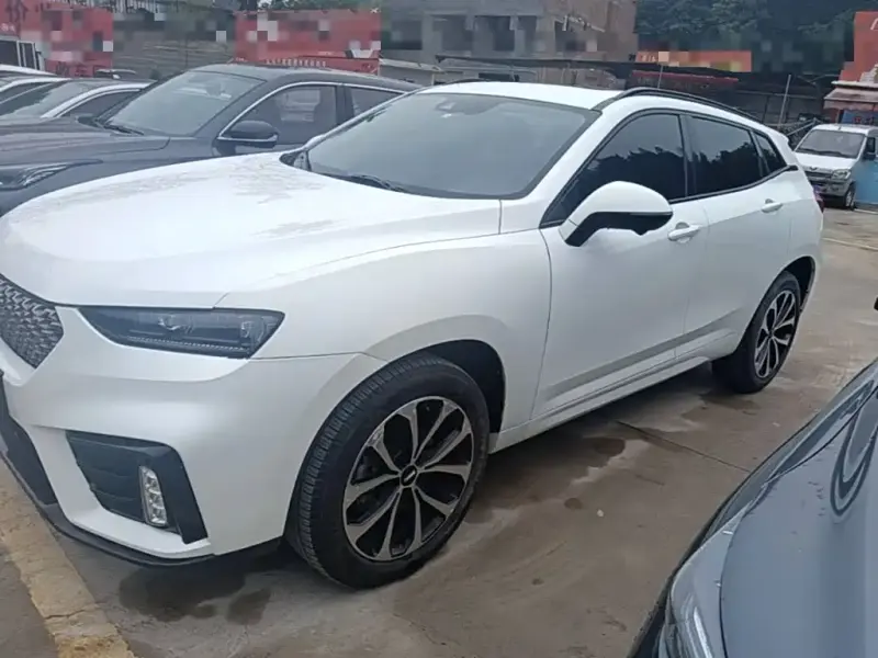 Wey VV7, 2019