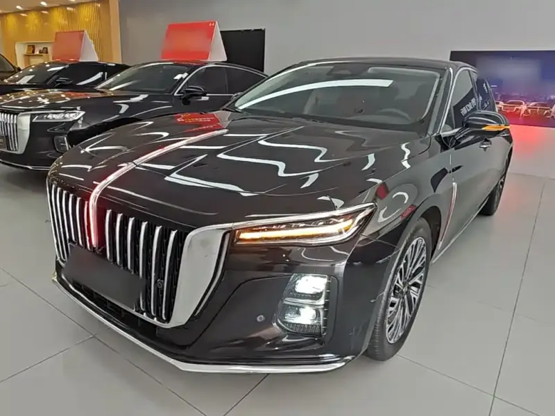 Hongqi H5, 2024