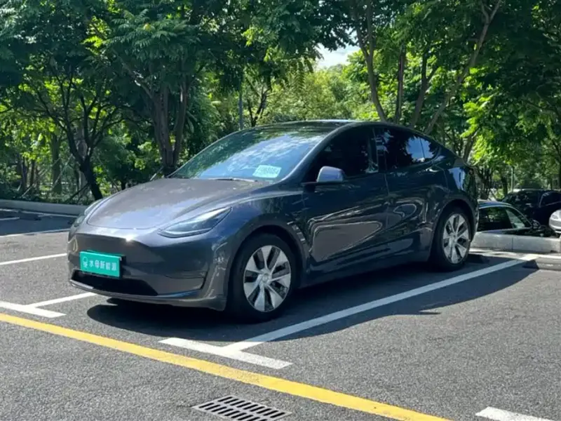 Tesla Model Y, 2021