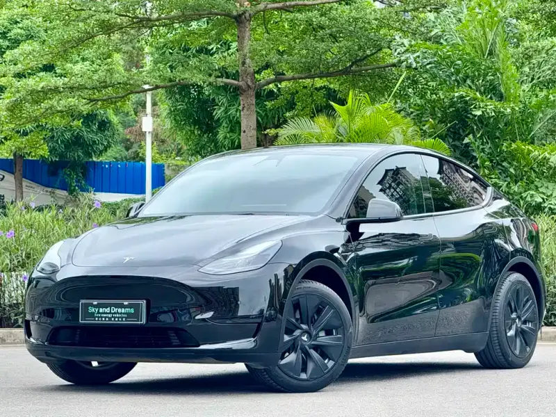Tesla Model Y, 2022