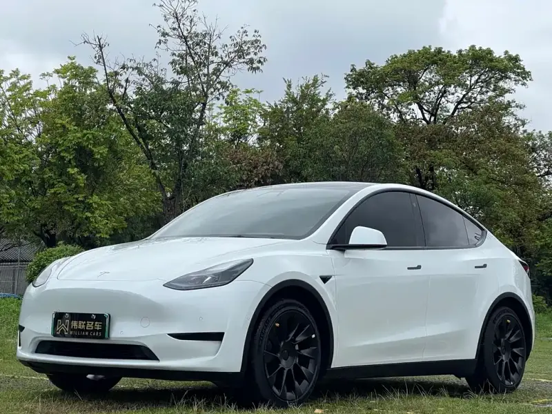 Tesla Model Y, 2023