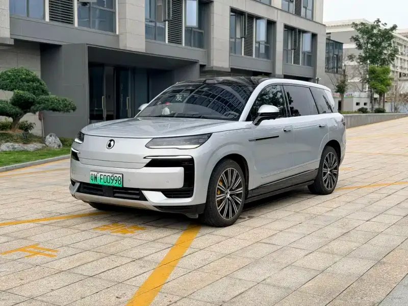 Denza N9, 2025