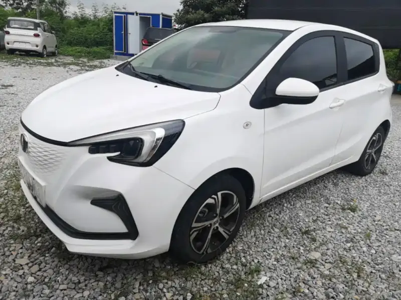 Changan Benben E-Star, 2020