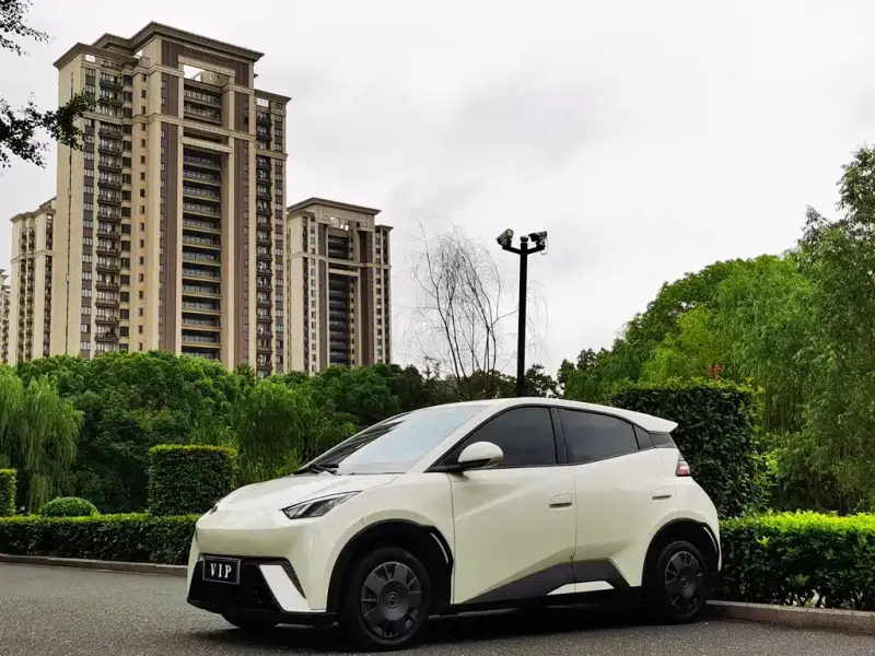 BYD Seagull, 2023