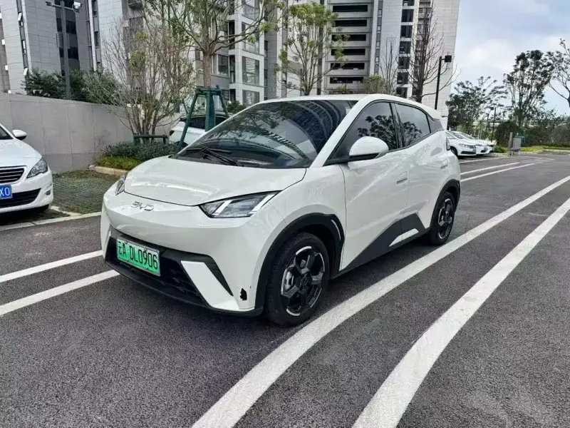 BYD Seagull, 2023