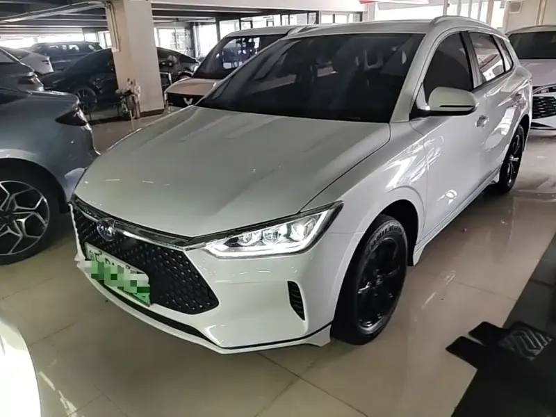 BYD e2, 2021