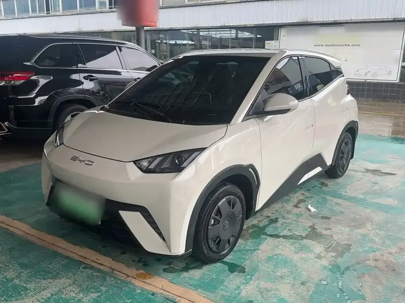 BYD Seagull, 2024